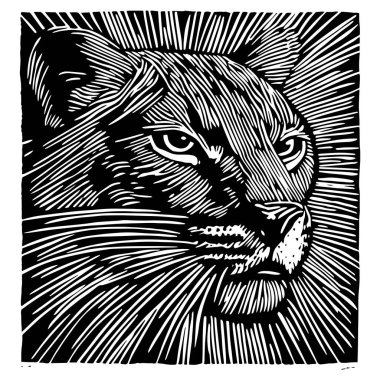 panther face vector illustration with radiating lines in hand drawn engraving style clipart