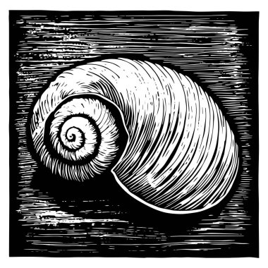 Salyangoz kabuğu çizim biçimi illüstrasyonu