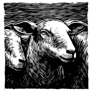 group of sheep vector illustration in hand drawn rustic engraving style clipart