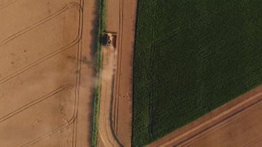 Ağır hasat makinelerinin ve traktörlerin yeni hasat edilmiş buğday tarlasında senkronize hareketlerini gösteren erik görüntüler modern tarımın gücünü ve ritmini gözler önüne seriyor.