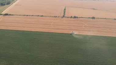 Ağır hasat makinelerinin ve traktörlerin yeni hasat edilmiş buğday tarlasında senkronize hareketlerini gösteren erik görüntüler modern tarımın gücünü ve ritmini gözler önüne seriyor.