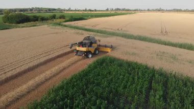 Ağır hasat makinelerinin ve traktörlerin yeni hasat edilmiş buğday tarlasında senkronize hareketlerini gösteren hava görüntüleri modern tarımın gücünü ve ritmini gözler önüne seriyor..