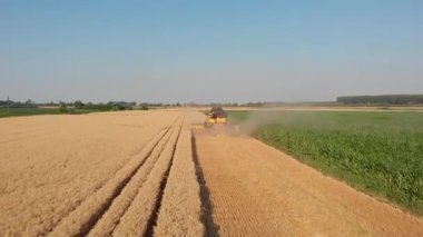 Ağır hasat makinelerinin ve traktörlerin yeni hasat edilmiş buğday tarlasında senkronize hareketlerini gösteren hava görüntüleri modern tarımın gücünü ve ritmini gözler önüne seriyor..