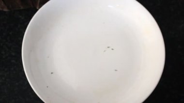 Tapyoka pastasını kes.