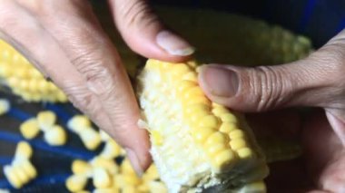 mısır kabuğu soyma ve işleme