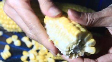 mısır kabuğu soyma ve işleme