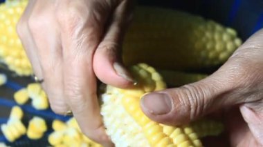 mısır kabuğu soyma ve işleme