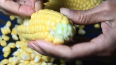 mısır kabuğu soyma ve işleme