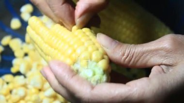 mısır kabuğu soyma ve işleme