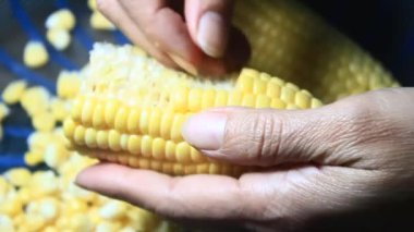 mısır kabuğu soyma ve işleme