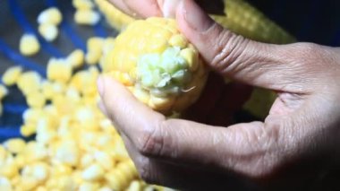 mısır kabuğu soyma ve işleme