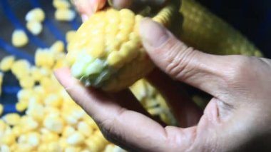 mısır kabuğu soyma ve işleme