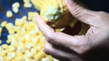 mısır kabuğu soyma ve işleme