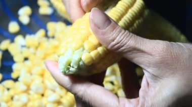 mısır kabuğu soyma ve işleme