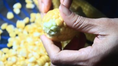 mısır kabuğu soyma ve işleme