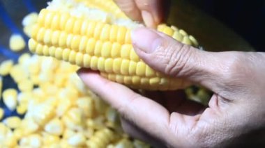 mısır kabuğu soyma ve işleme