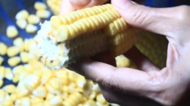 mısır kabuğu soyma ve işleme