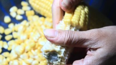 mısır kabuğu soyma ve işleme