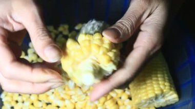 mısır kabuğu soyma ve işleme