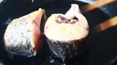 domates soslu balık