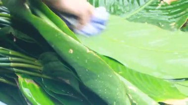 Yapışkan pirinç keki yap 