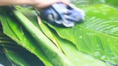 Yapışkan pirinç keki yap 