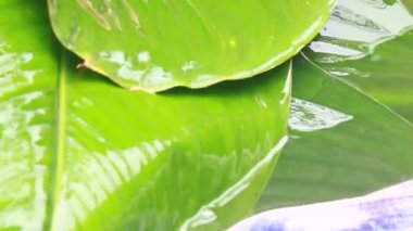 Yapışkan pirinç keki yap