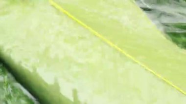 Yapışkan pirinç keki yap