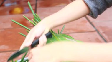 Yapışkan pirinç keki yap