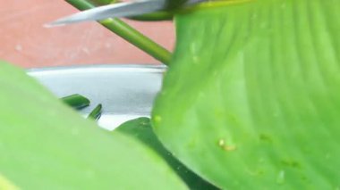 Yapışkan pirinç keki yap