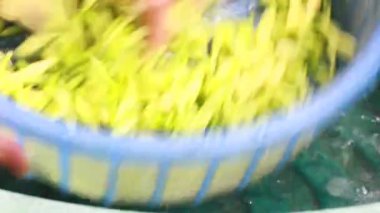 Biraz papaya çiçeği temizle.