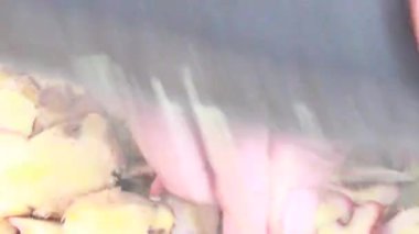 Zencefilli ızgara et.