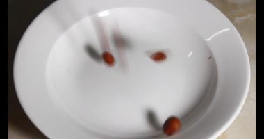 Tropikal badem tohumlarını soy