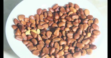 Tropikal badem tohumlarını soy