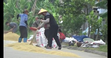 Akşam yemeği için lezzetli yemekler.