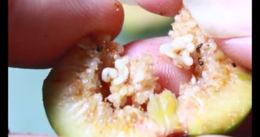 Biraz taze incir dilimlenmiş.