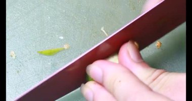 Biraz taze incir dilimlenmiş.