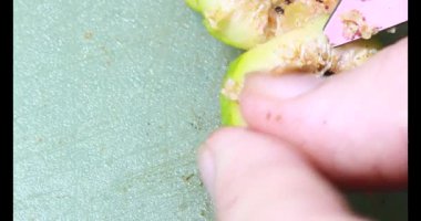 Biraz taze incir dilimlenmiş.