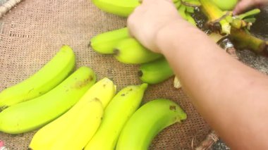 Olgunlaşmış muz dilimi