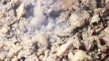 Karides ezmesiyle kızartılmış et.