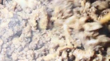 Karides ezmesiyle kızartılmış et.