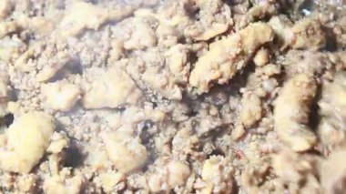 Karides ezmesiyle kızartılmış et.