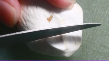 Domates soslu mantar ve soya peyniri.