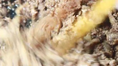 Karides ezmesiyle kızartılmış et.