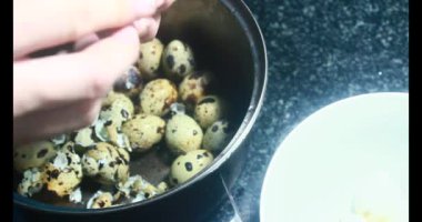 Kaynamış bıldırcın yumurtası.