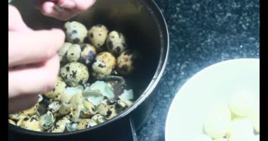 Kaynamış bıldırcın yumurtası.