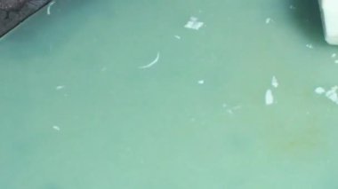 Kaynamış bambu filizleri işleniyor