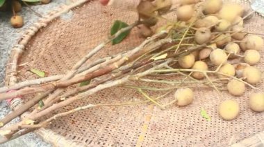 Yazın hasat zamanı