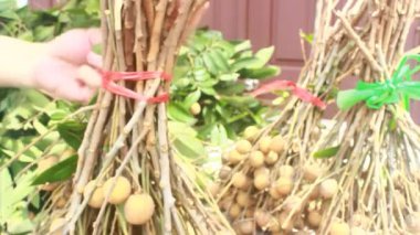 Yazın hasat zamanı