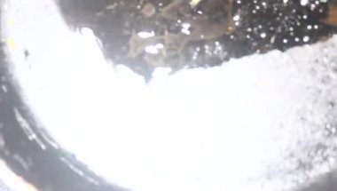 Kızartma için kabak soy